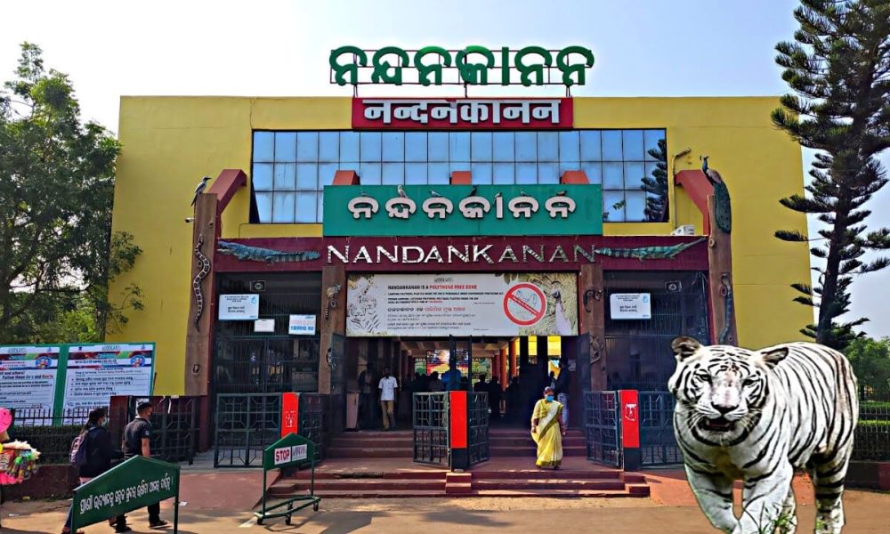 Nandankanan National Park-1